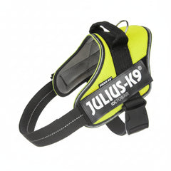 Julius-K9 IDC Powair Harness Neon, Large