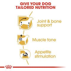 Royal Canin Breed Health Nutrition Dachshund Adult (Wet Food - Pouches) 12 x 85 g