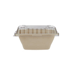 Bagasse Square Deep Containers with PET Lids – EG16 to EG42 | Eco Takeaway Boxes
