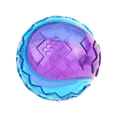 GIGWI G - Ball Purple/Blue Squeaker Transparent (Medium) - SNH Packing
