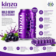 Kinza Blackcurrant Drink 300ml x 24 Fruity Fresh Soft Drink - SNH Packing