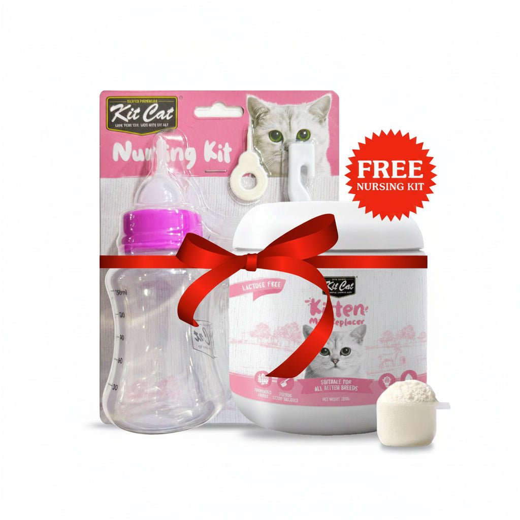 Kit Cat Kitten Milk Replacer 200g + FREE Nursing Kit - SNH Packing