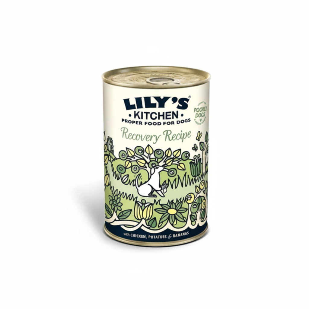 Lily's Kitchen Recovery Recipe Wet Dog Food (400g) - SNHÂ Packing