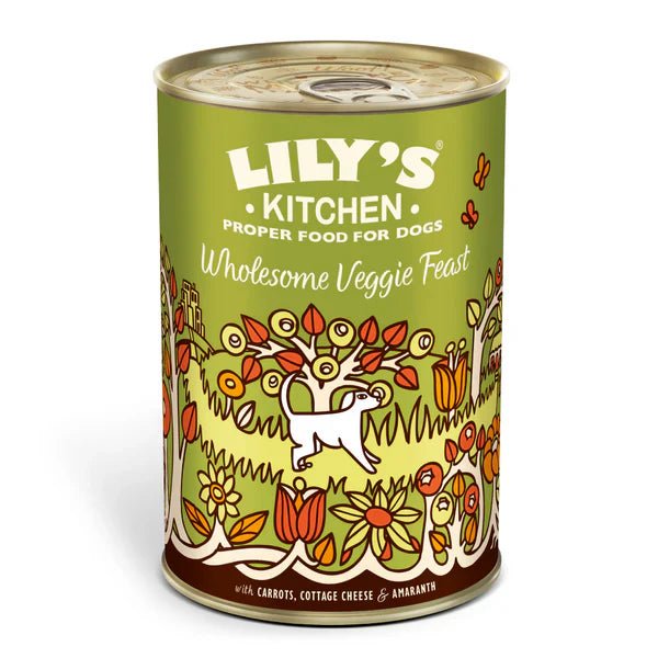 Lily's Kitchen Wholesome Veggie Feast Wet Dog Food (375g) - SNH Packing