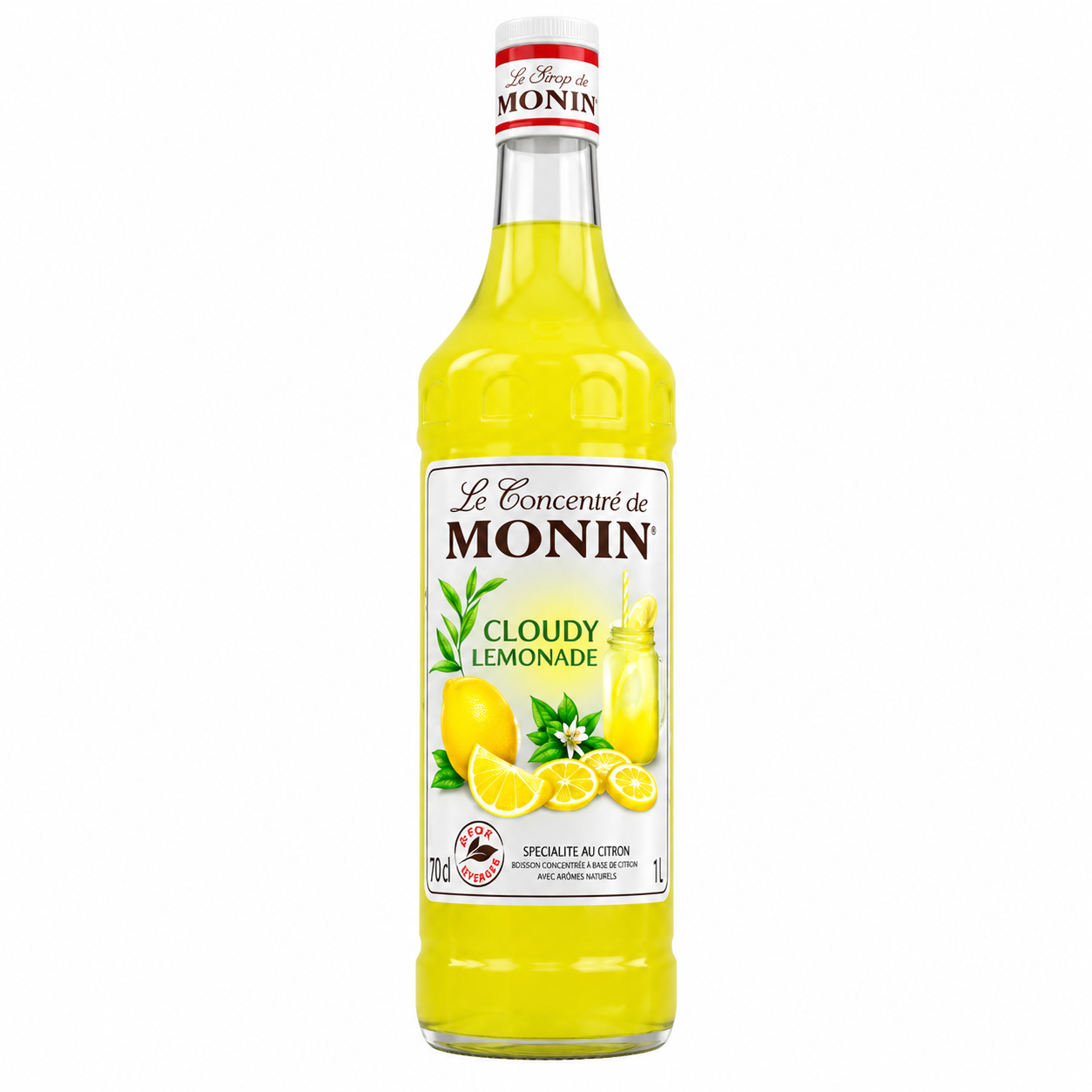 Monin Cloudy Lemonade Syrup Citrus Flavour 1L