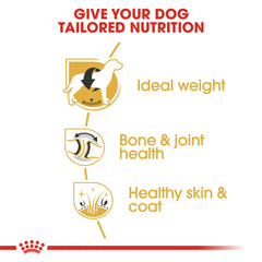 Royal Canin Breed Health Nutrition Labrador Adult - 3KG