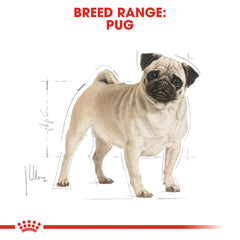 Royal Canin Breed Health Nutrition Pug Adult 1.5 KG