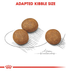 Royal Canin Size Health Nutrition Maxi Puppy 10 KG