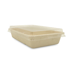 Rectangular Bagasse Tray UAE - with PET Lid - SNH Packing