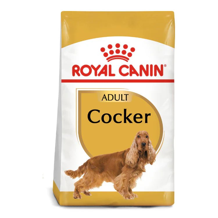 Royal Canin Breed Health Nutrition Cocker Adult 3 KG - SNH Packing