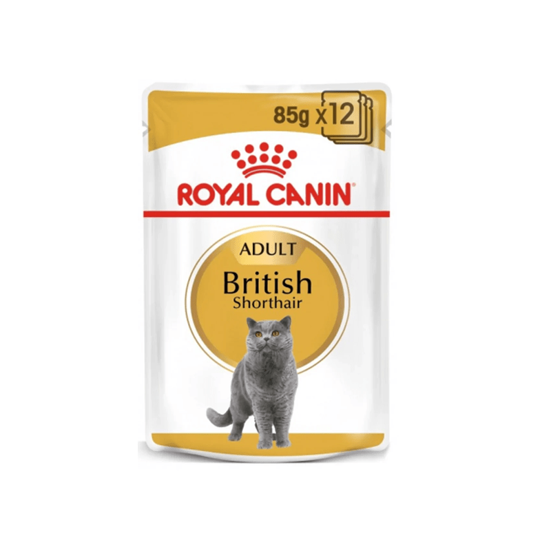 Royal Canin British Shorthair 1 x 85 grams - SNH Packing