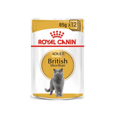 Royal Canin British Shorthair 1 x 85 grams - SNH Packing