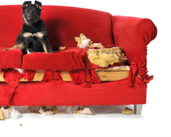 Simple Solution Puppy Chew Stopper 500 ml