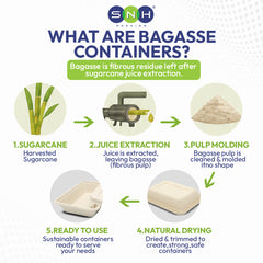 Bagasse Lunch Boxes Eco Friendly Biodegradable Disposable Boxes