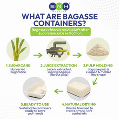 Bagasse Lunch Boxes Eco Friendly Biodegradable Disposable Boxes