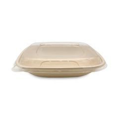 32oz square bagasse food container with transparent Pet lid for takeaway and food packaging