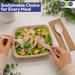 SNH PLA cutlery wrapped compostable spoon fork knife set UAE