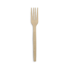 SNH PSM natural fork eco friendly disposable cutlery UAE