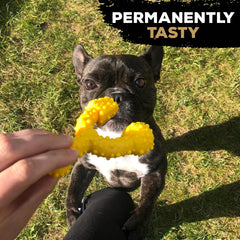 Tasty Bone Nylon Trio Toy Dog - Chicken - SNH Packing