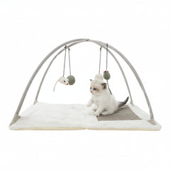 Trixie Junior Scratching Mat with Arch for Cats - 60X33X42CM - SNH Packing