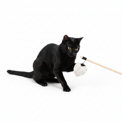 Trixie Playing Rod with Heart Catnip Toy for Cats - SNH Packing
