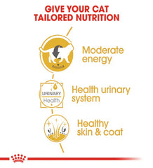 Royal Canin Feline Breed Nutrition British Shorthair (WET FOOD - Pouches)