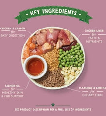 Lily's Kitchen Puppy Recipe with Chicken, Salmon & Peas Dry Food 2.5KG