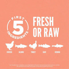 Orijen Puppy Small Breed Dog Grain-Free Dry Food 1.8KG