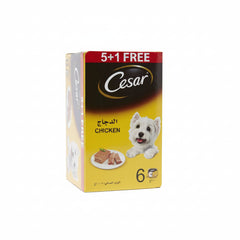 Cesar Chicken 5+1 FREE Promo Pack Wet Dog Food - 6X100G