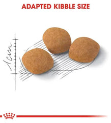 Royal Canin Feline Health Nutrition Exigent Protein 2 KG