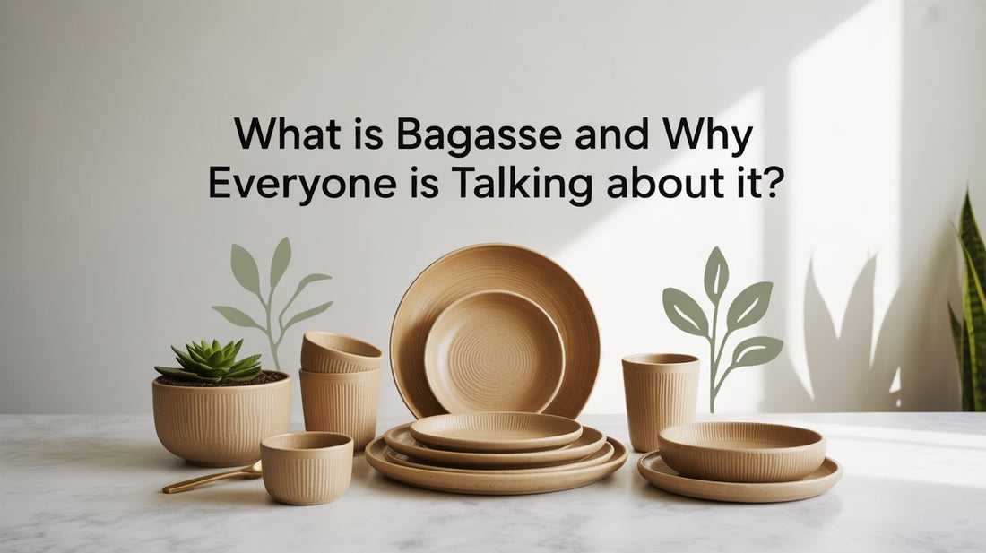 What Is Bagasse and Why Is Everyone Talking About It