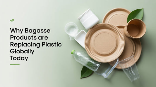 Why Bagasse Products Are Replacing Plastic Globally Today