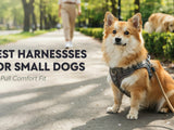 Best Harnesses for Small Dogs: No-Pull Comfort Fit - SNH Packing