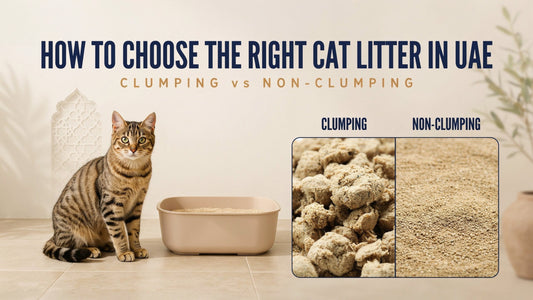 How to Choose the Right Cat Litter in UAE: Clumping vs Non-Clumping - SNH Packing