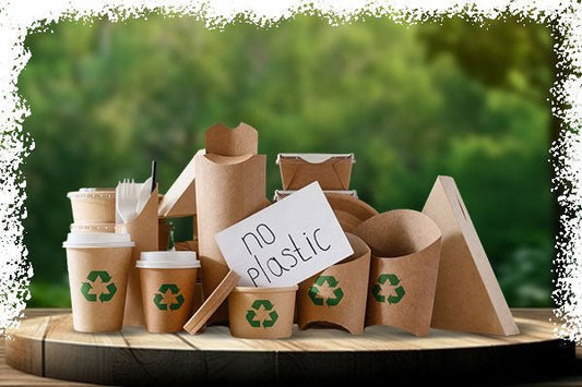 The Sustainable Revolution: A Deep Dive into Disposable Products Manufacturing - SNH Packing
