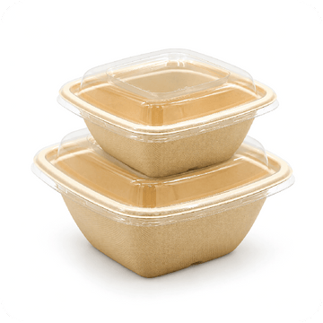 Bagasse Square Bowl Containers