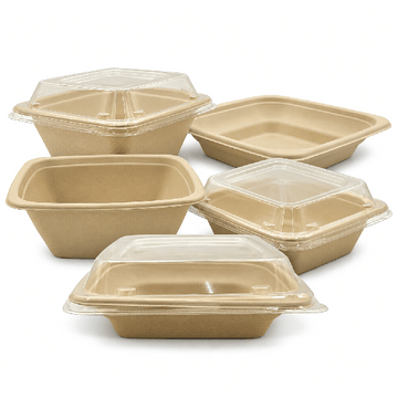 Bagasse Deep Square Containers