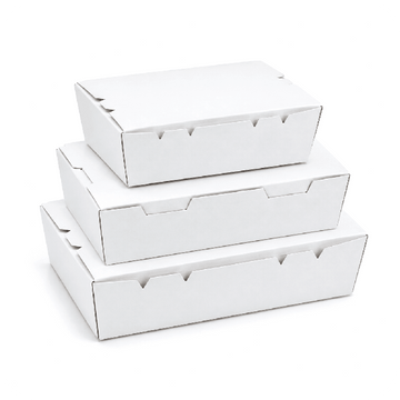 White Lunch Box without Window
