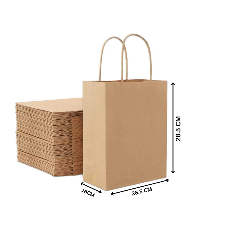 Brown Kraft Paper Bags | Twisted Handle | Multiple Sizes | 250 PCS Bulk Pack