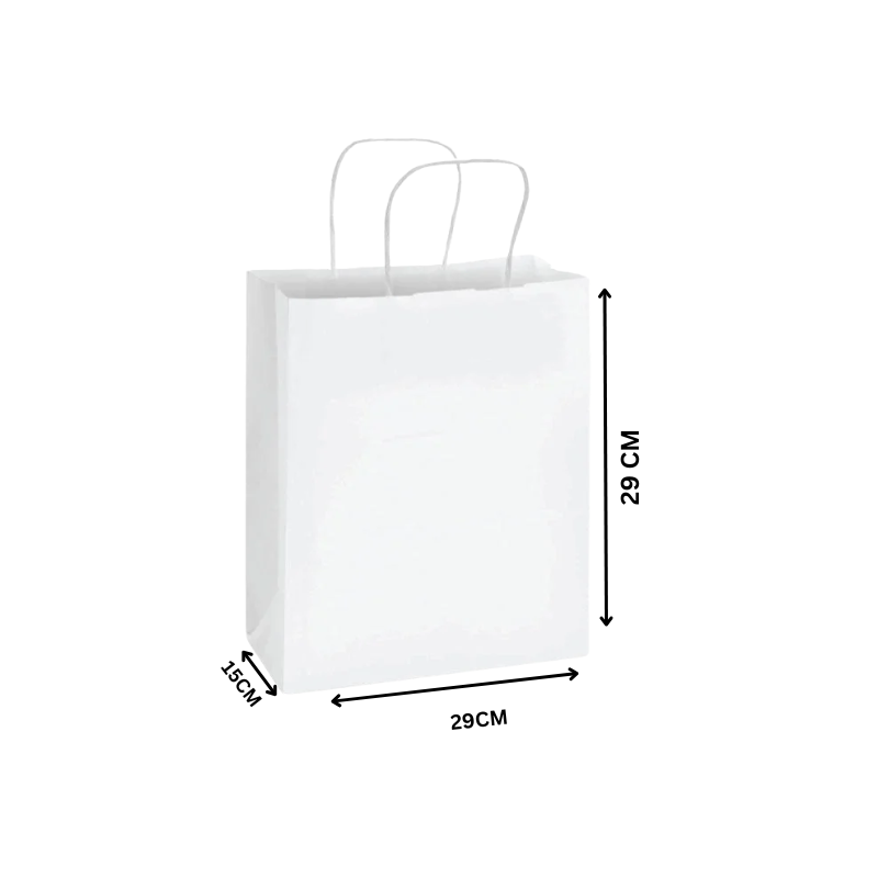 Paper Bag with Twisted Handle – White | Multiple Sizes Available
