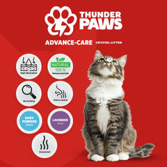 Thunder Paws Advance Care Non-Clumping Crystal Cat Litter 5L
