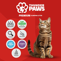 Thunder Paws Premium Hard Clumping Clay Cat Litter 10 L