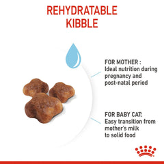 Royal Canin Feline Health Nutrition Mother and Babycat 4 KG