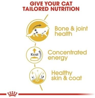 Royal Canin Feline Breed Nutrition Maine Coon (WET FOOD - Pouches)