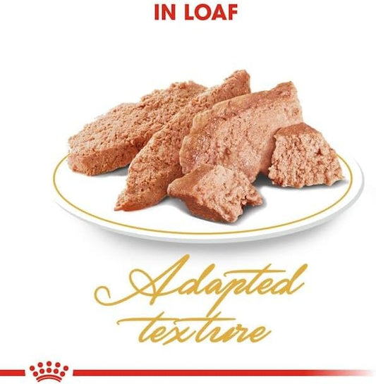 Royal Canin Feline Breed Nutrition Persian (WET FOOD - Pouches)