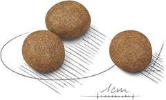 Royal Canin Maxi Puppy Dry Food - 4KG