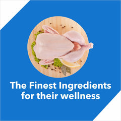 Drools Dry Cat Food,Real Chicken, 7 KG