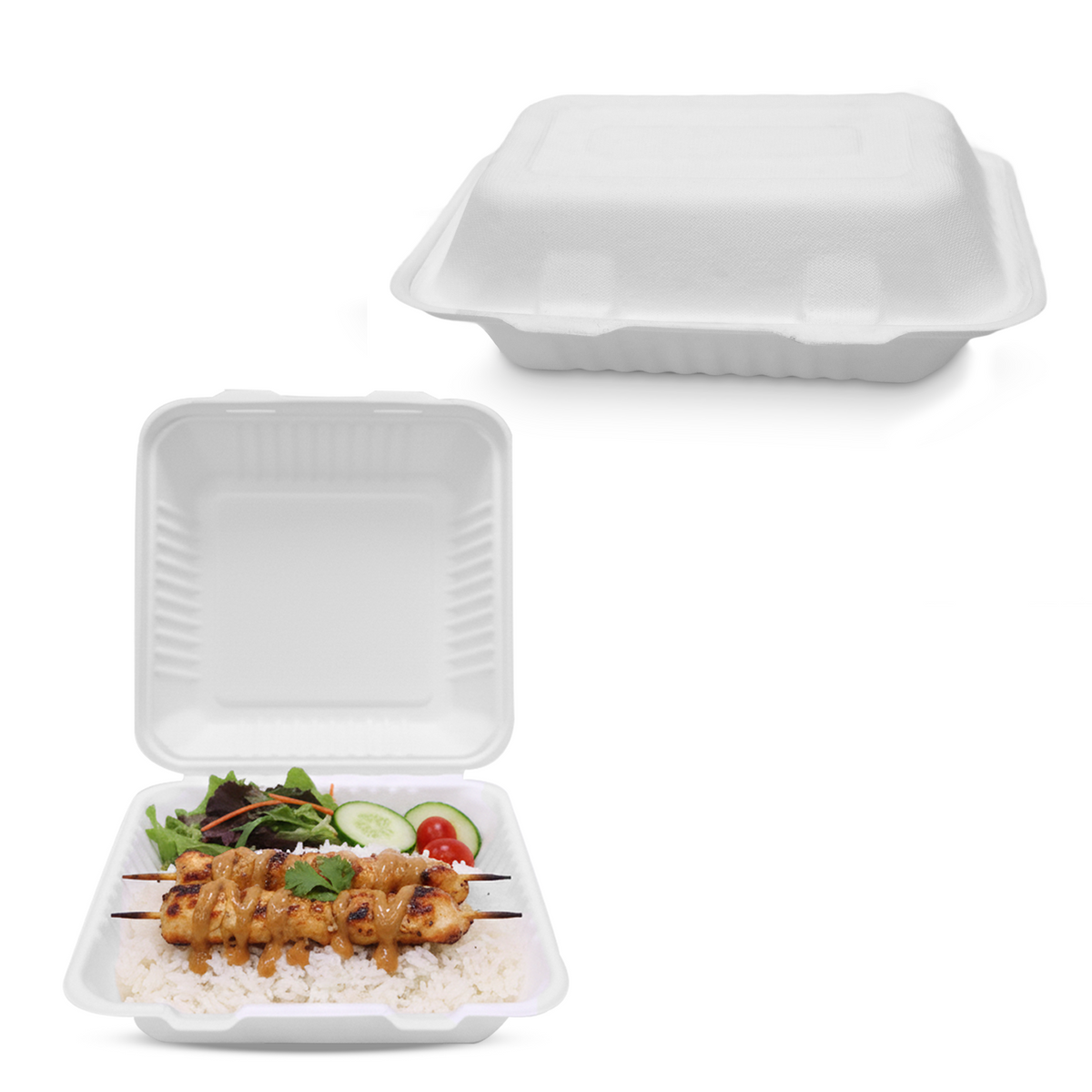 Bagasse Lunch Boxes – Eco-Friendly Biodegradable Disposable Boxes | Multiple Sizes & Compartments