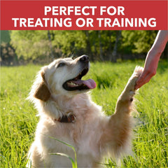 Drools Dog Treat Biscuits, Real Chicken, 800Gm Biscuit | Oven Baked, Crunchy, No Artificial Ingredient, Prevents Tartar Build-Up | Best For Training & Rewarding | For Puppy & Adult Dog