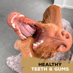 Tasty Bone Nylon Dog Chew Toy, Durable & Indestructible Chew for Large Dogs, Bacon Flavor